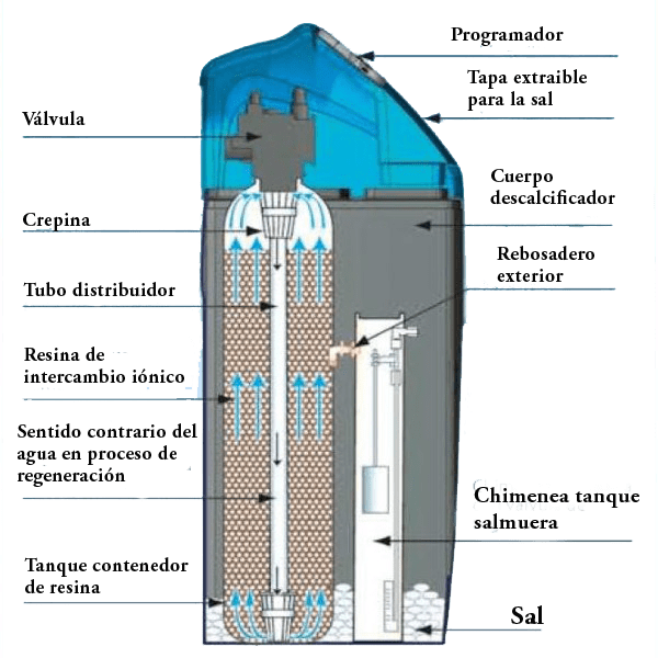 esquema regeneracion