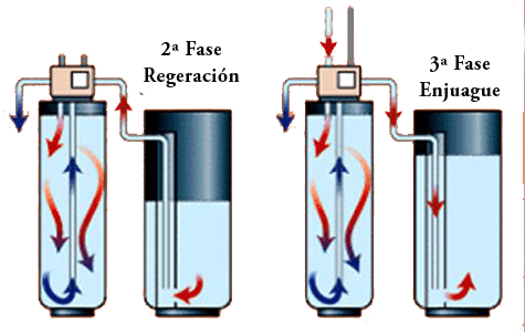 regeneracion y enjuague